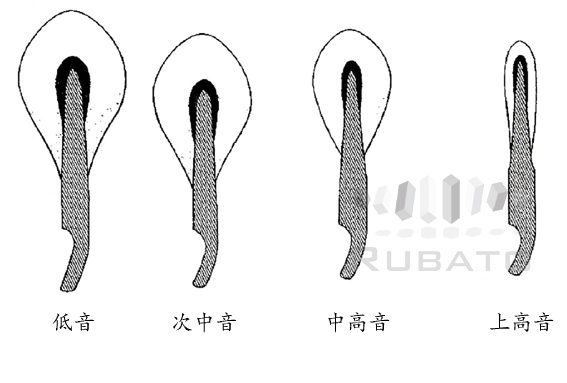 锉磨-1.jpg